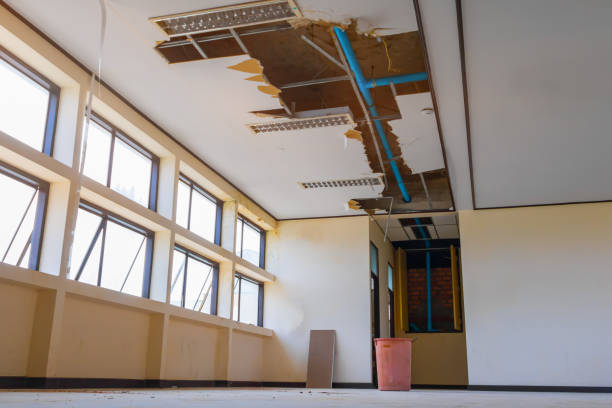 Best Water damage cleanup near me  in Caribou, ME