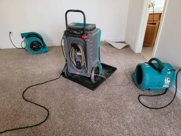 Best 24/7 water damage repair  in Caribou, ME