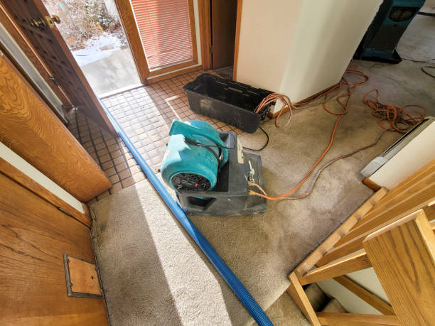 Best Professional water damage repair  in Caribou, ME