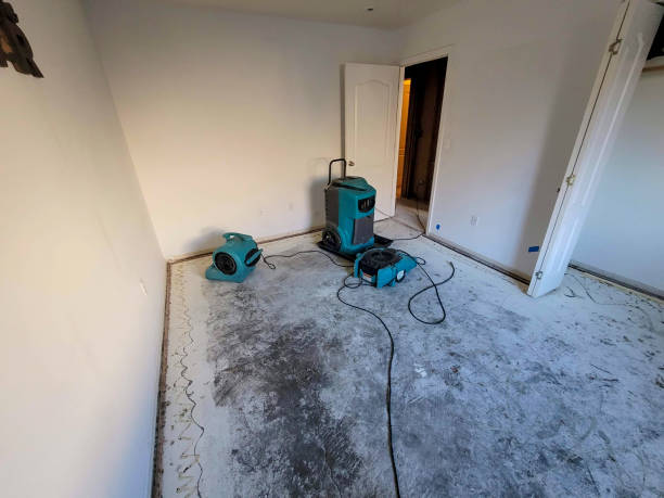 Best Commercial water damage restoration  in Caribou, ME