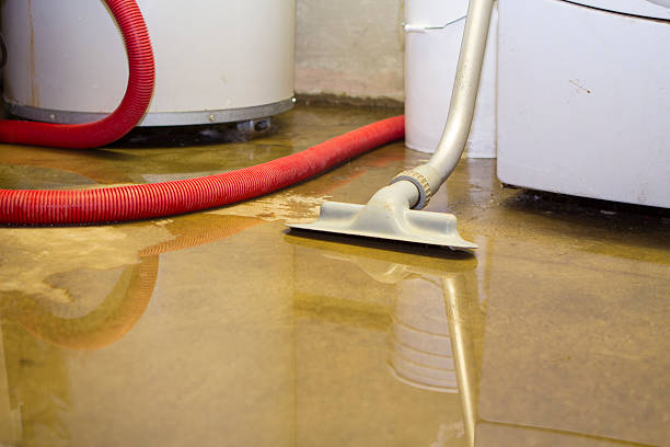 Best Fire Damage Restoration  in Caribou, ME