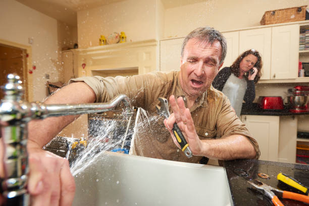 Best Local water damage restoration  in Caribou, ME